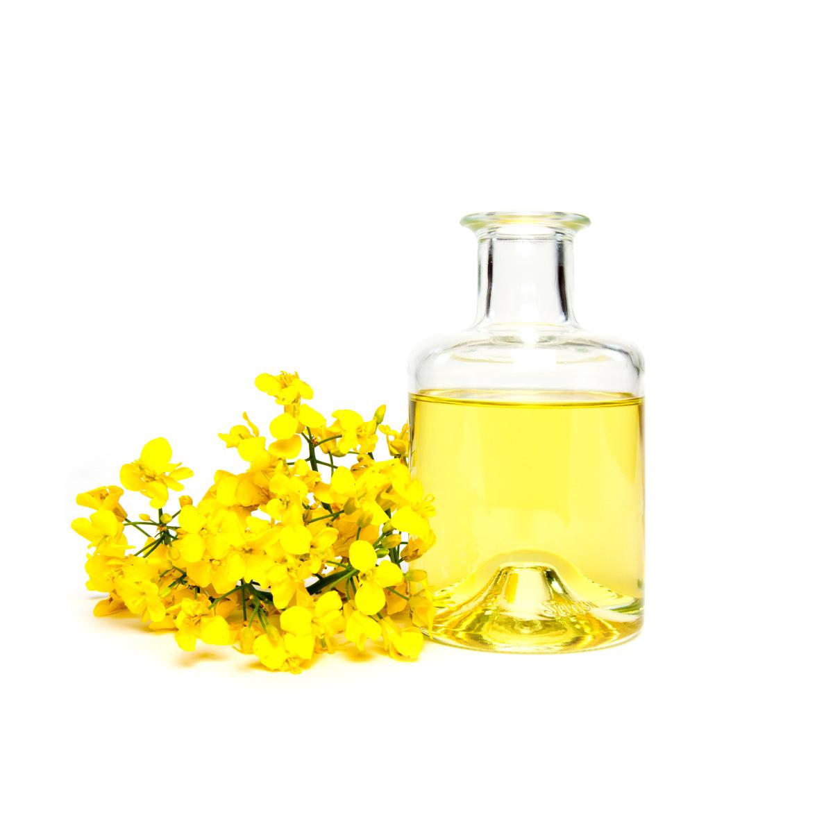 canola-oil-traders-sunrise-foods-international